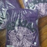 Spider Worldwide Men's Purple Hoodie